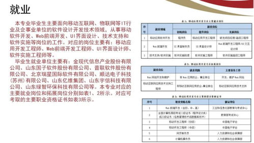 山東電子職業(yè)技術(shù)學(xué)院計(jì)算機(jī)與軟件工程系 計(jì)算機(jī)軟件技術(shù)服務(wù)專業(yè)簡(jiǎn)介